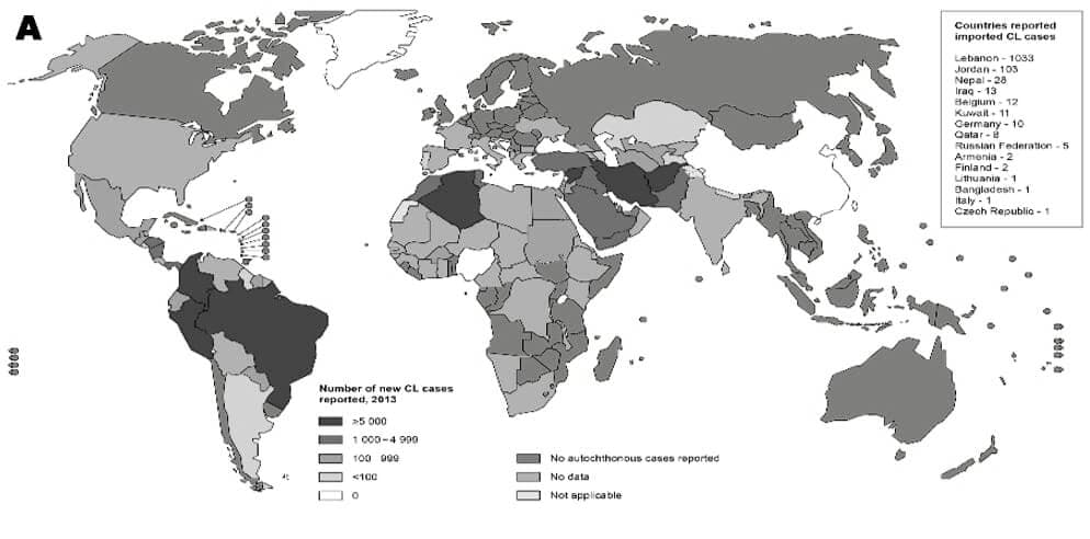 Leishmaniosis (nos ocultan información)