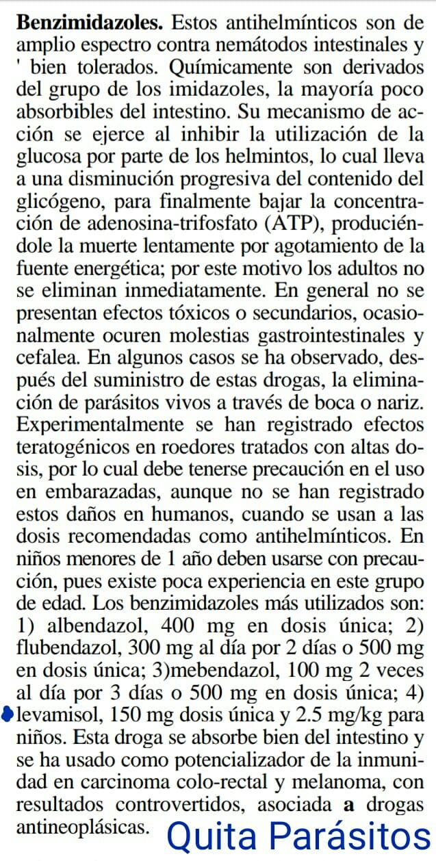 Preparación10