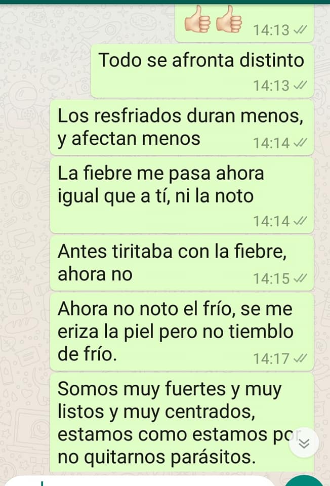 Chat sobre la fiebre