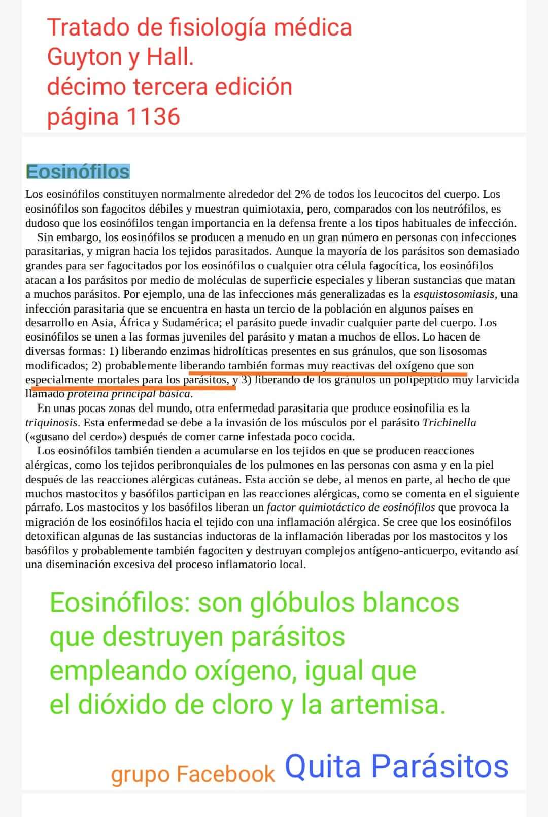 DocEosinofilia