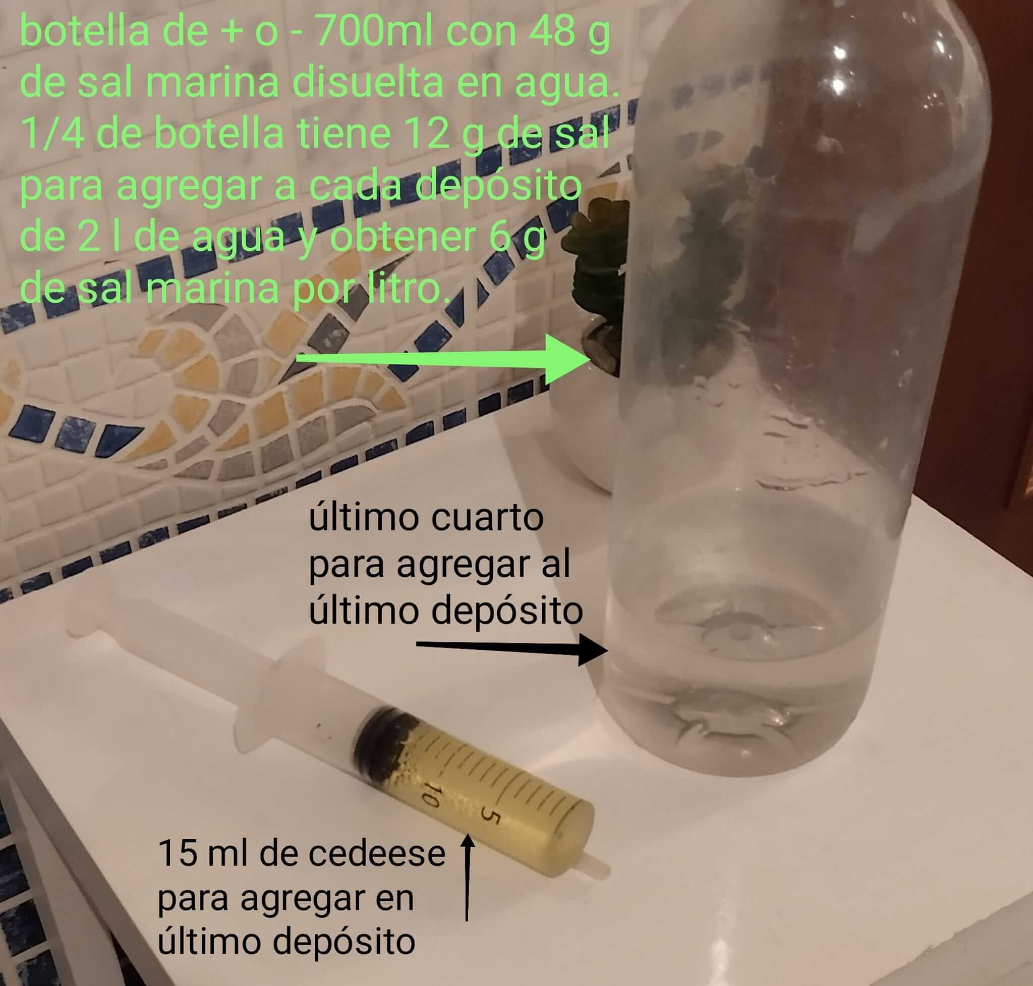 Detalles botella Sal CDS