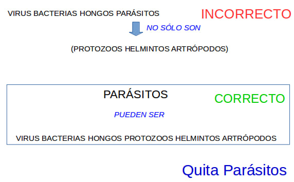 Definición de Parásito 1