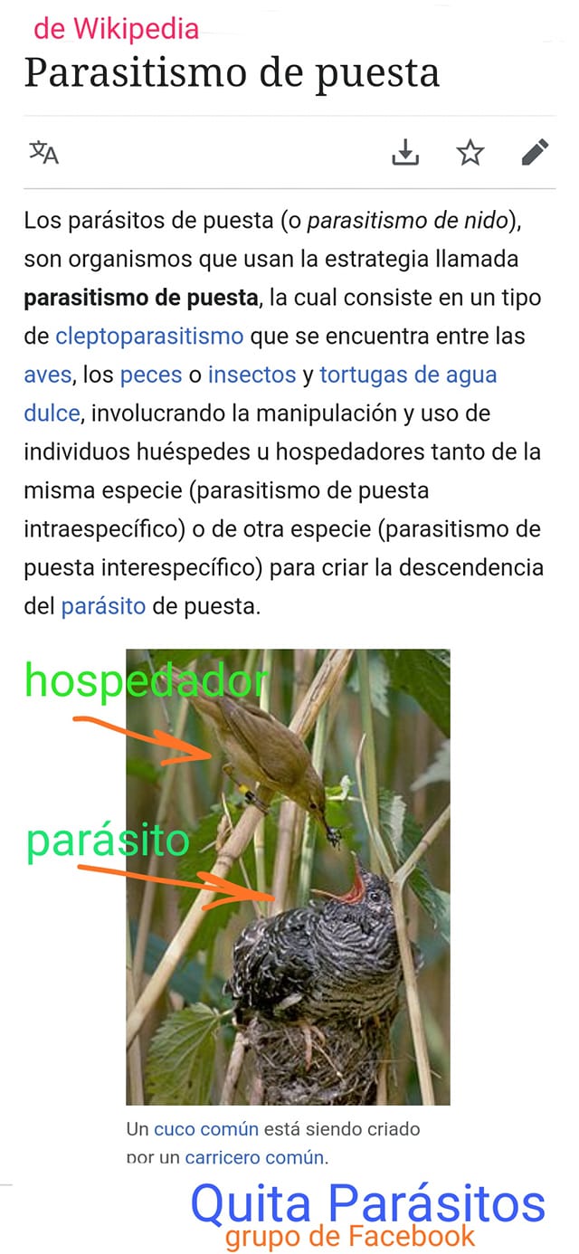 Definición de Parásito 3